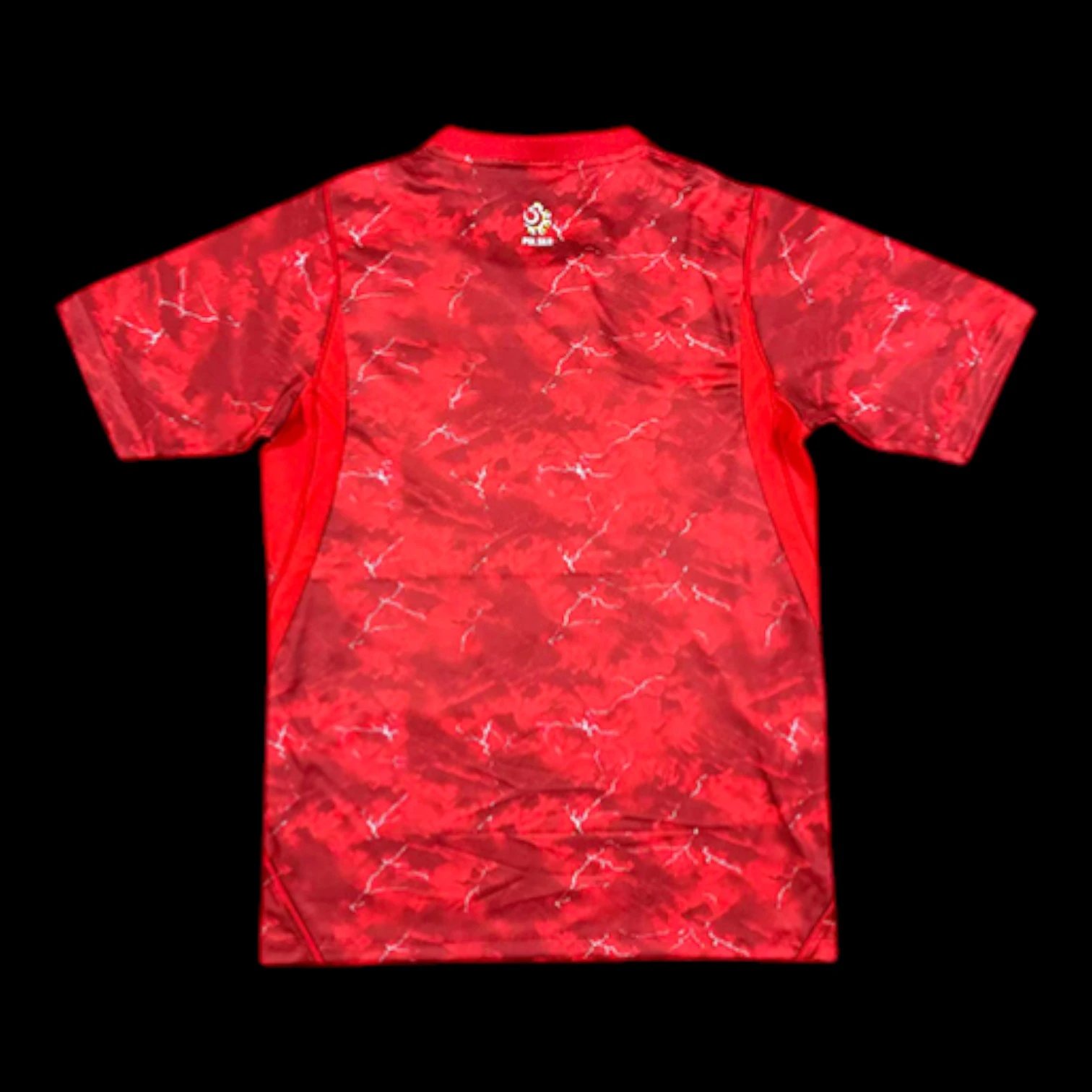 Poland 2026 Away Jersey — QC