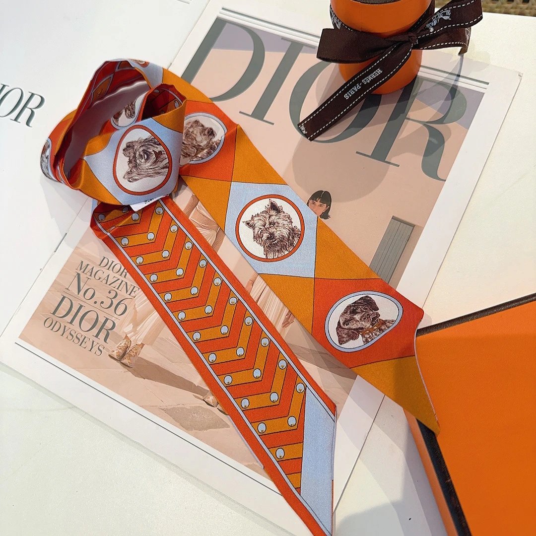 Hermes Silk Hair Ribbon Ver.G — Photo 9