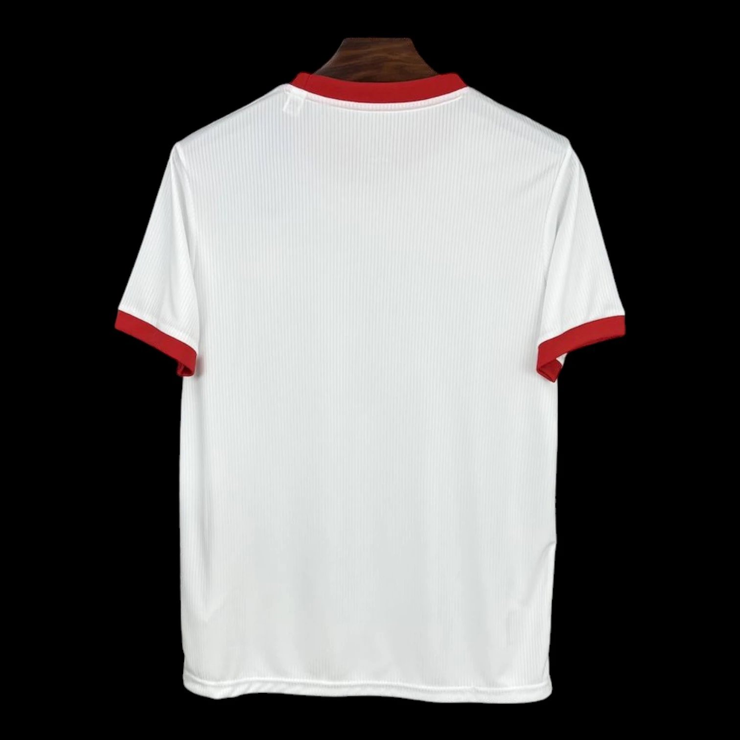 Benfica Special Edition Jersey — Photo 2