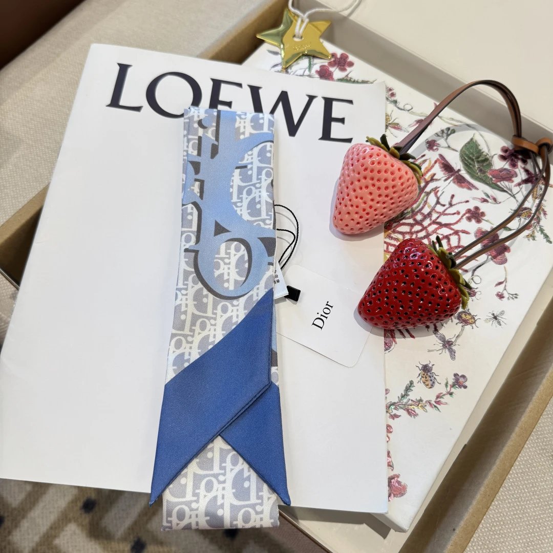 Dior Silk Hair Ribbon Ver.C — QC