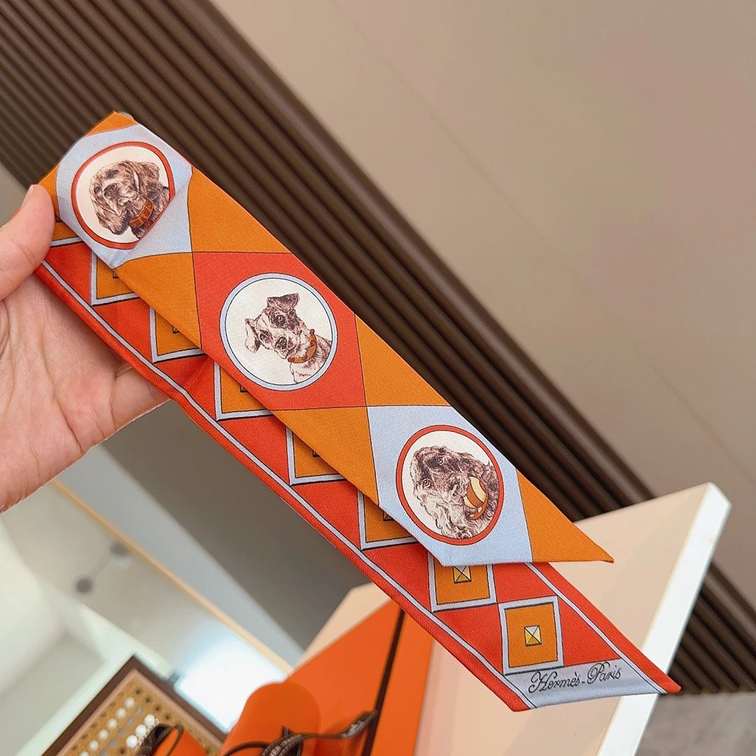 Hermes Silk Hair Ribbon Ver.G — Photo 8