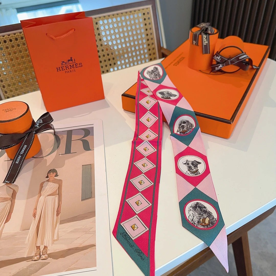 Hermes Silk Hair Ribbon Ver.D — Photo 5
