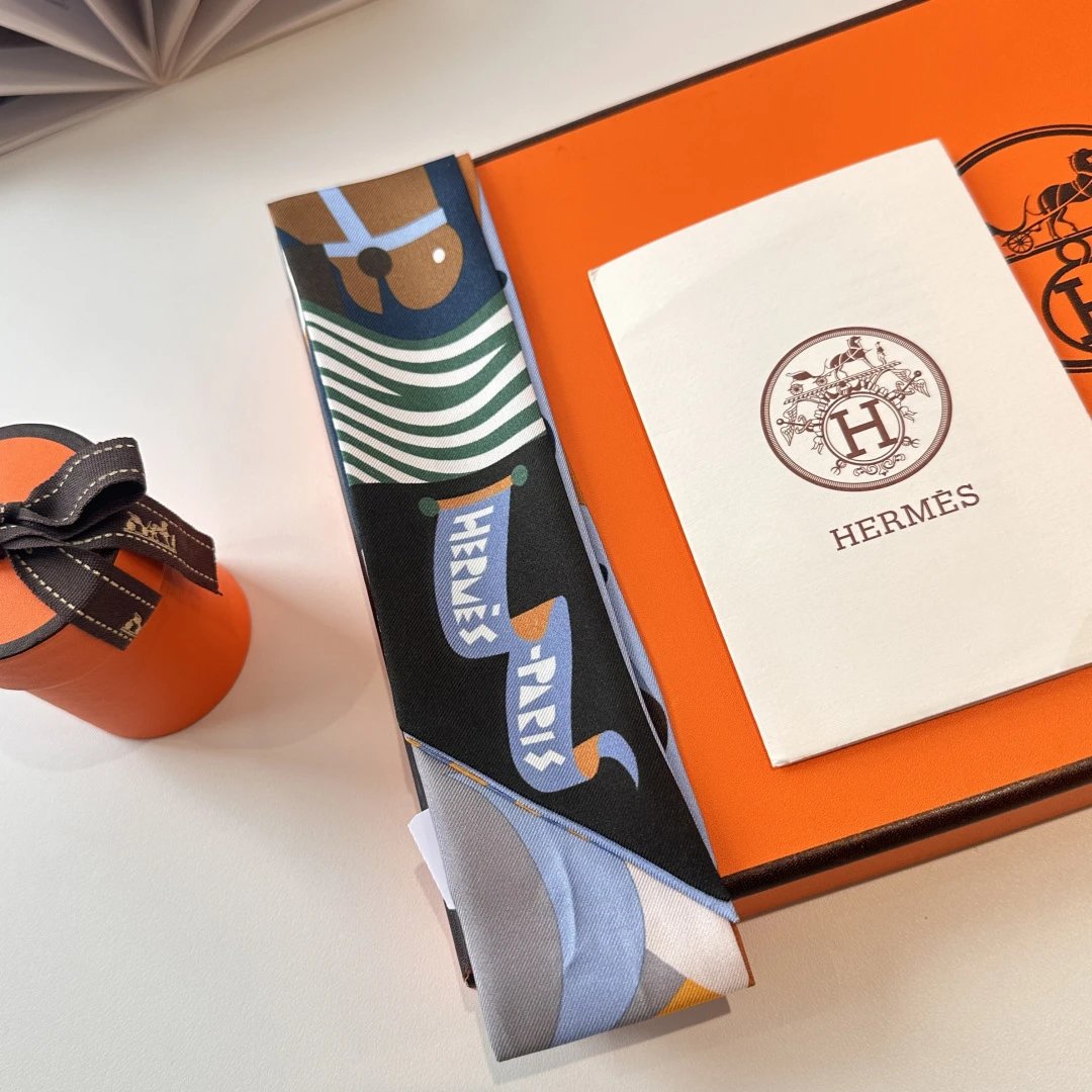 Hermes Silk Ribbon Ver.L — Photo 2