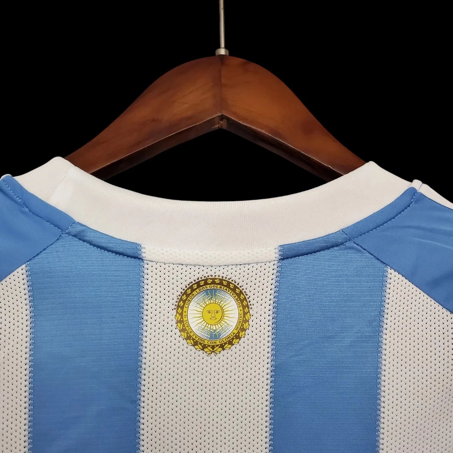 Argentina 2010 Retro Jersey — photo 3
