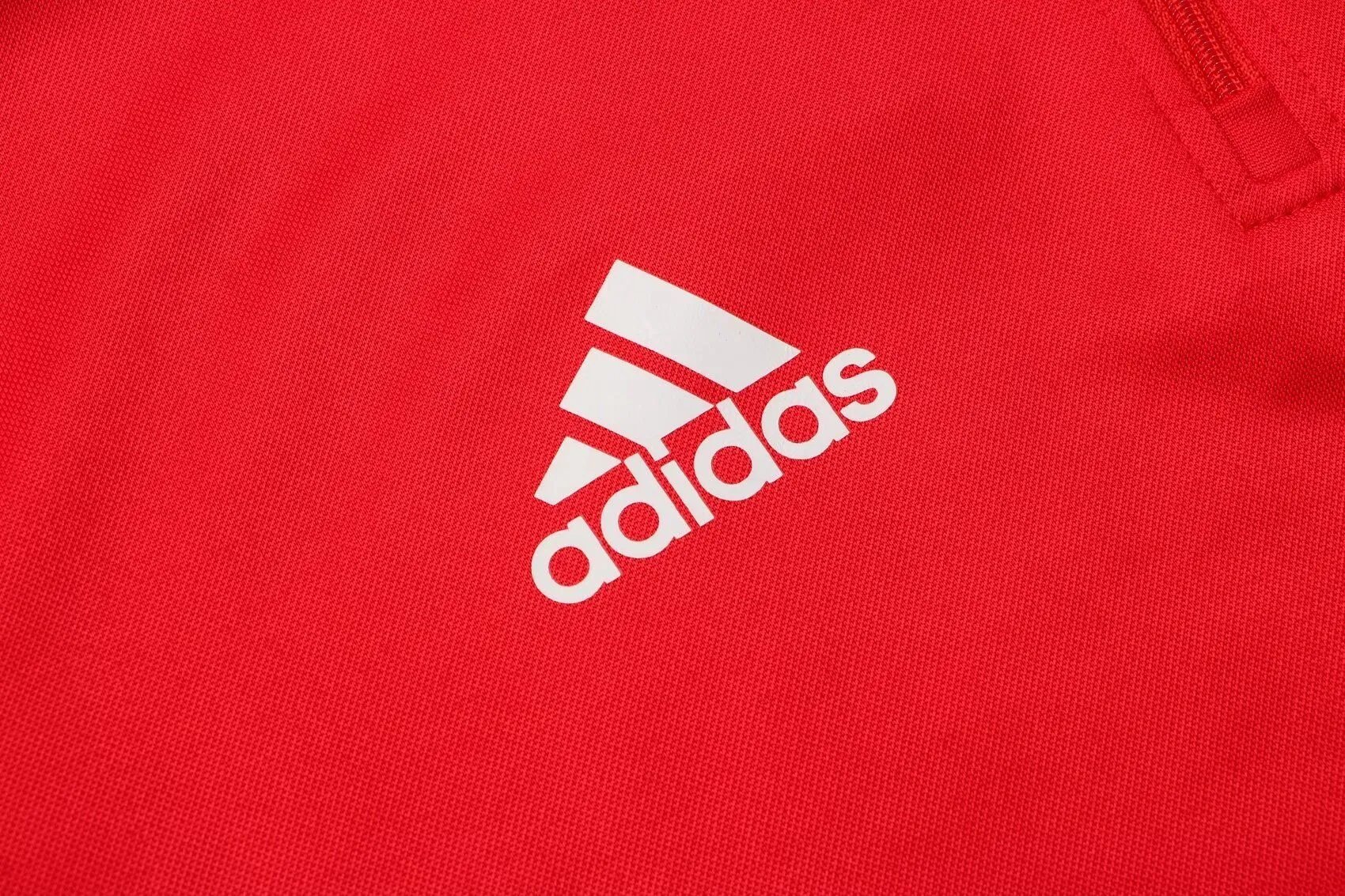 Benfica 1 4 Zip Tracksuit 2021 22 Red — photo 5