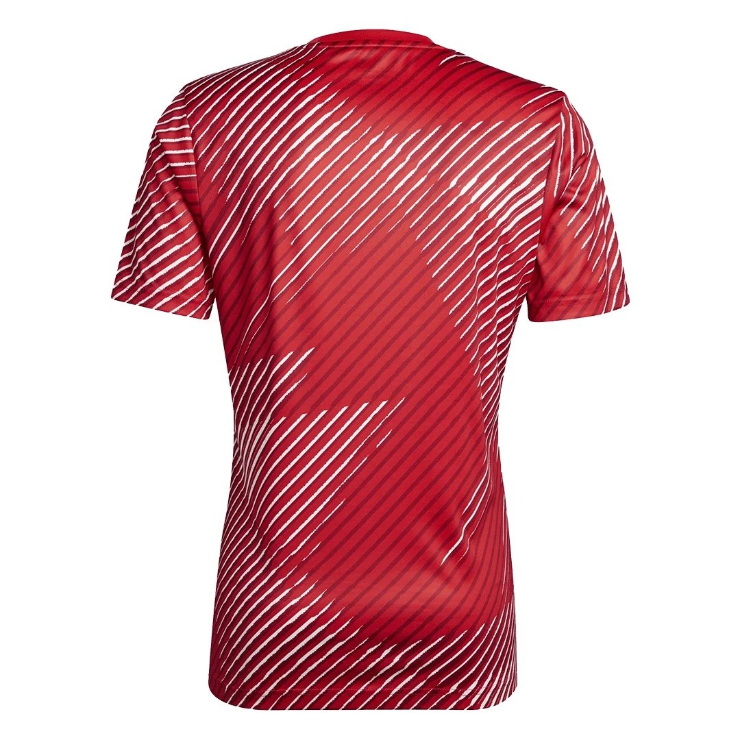 Japan 2022 Pre-Match Jersey — photo 2