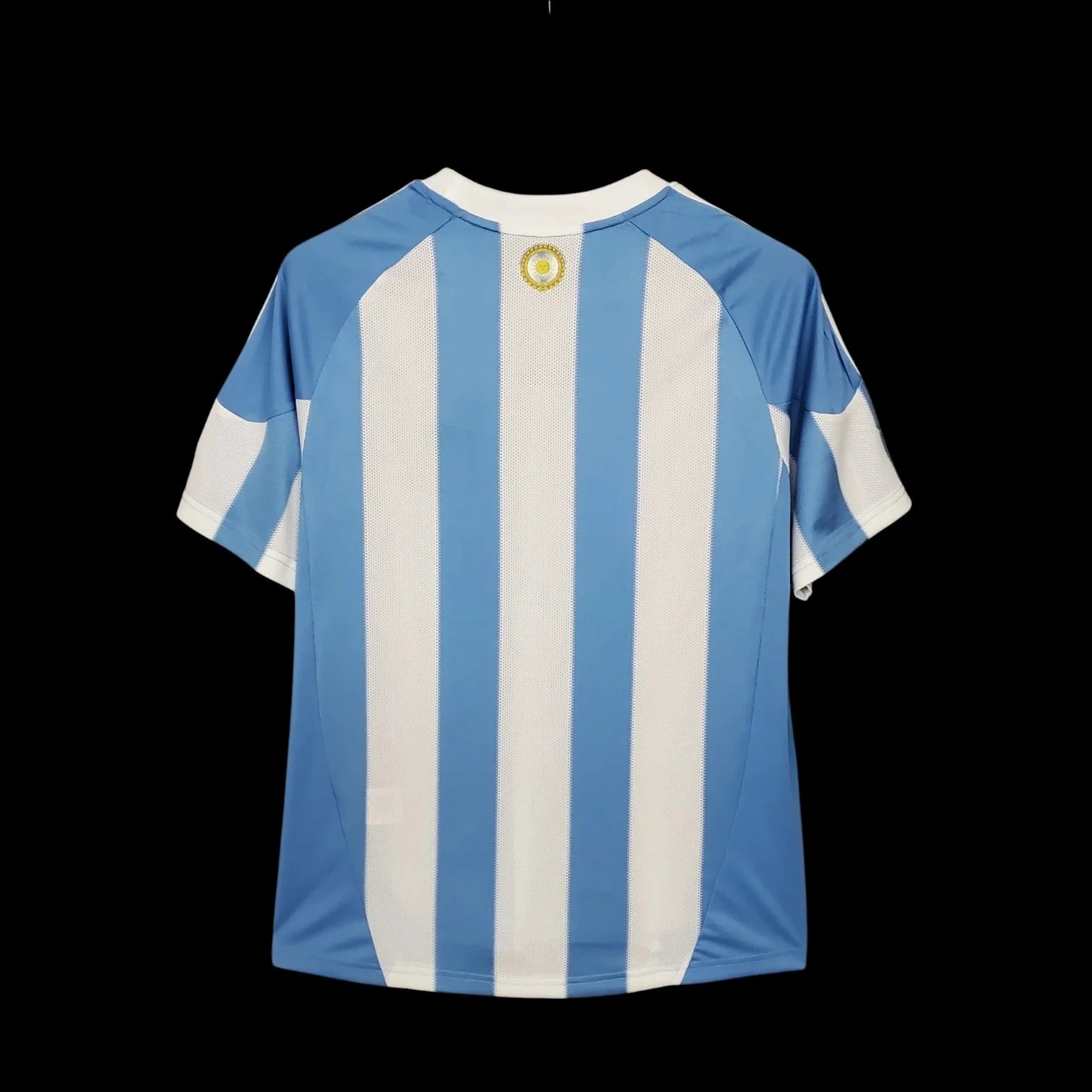 Argentina 2010 Retro Jersey — photo 2