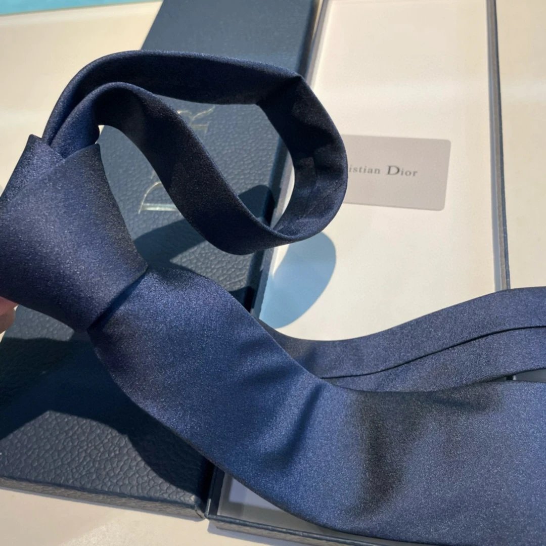 Dior Tie Ver.H — QC