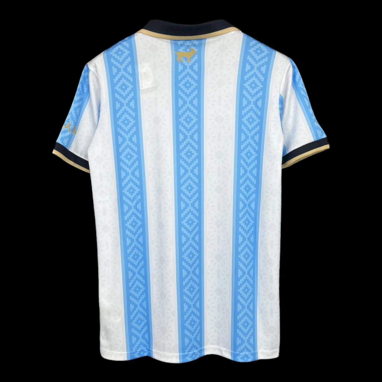 Argentina Concept Jersey — Photo 2