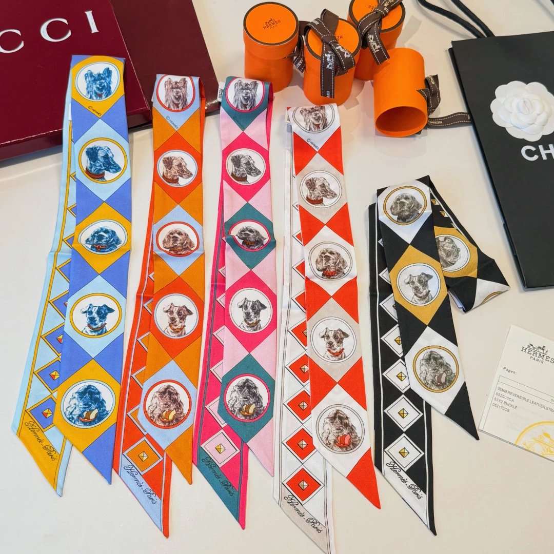Hermes Silk Hair Ribbon Ver.D — Photo 2