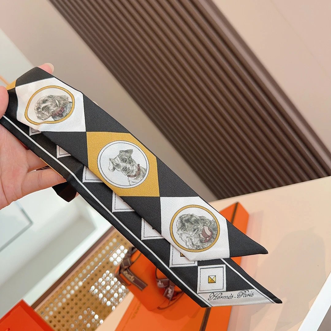 Hermes Silk Hair Ribbon Ver.F — Photo 8