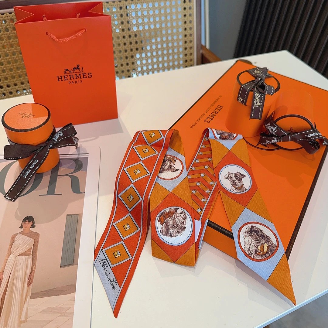 Hermes Silk Hair Ribbon Ver.G — Photo 6
