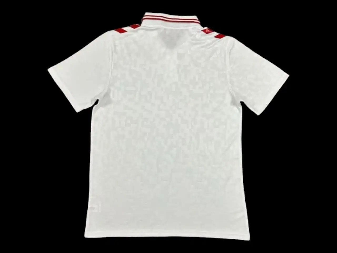 Denmark 2024 Away Jersey — QC