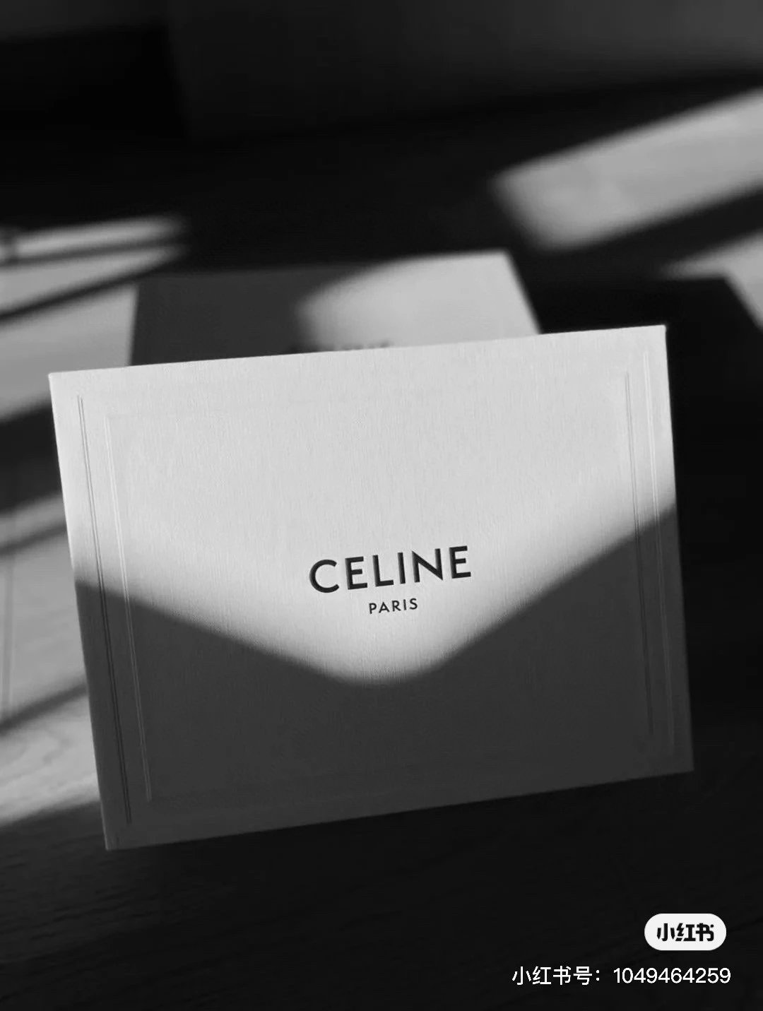 Celine Ski Goggles Ver.E — Zdjęcie 6