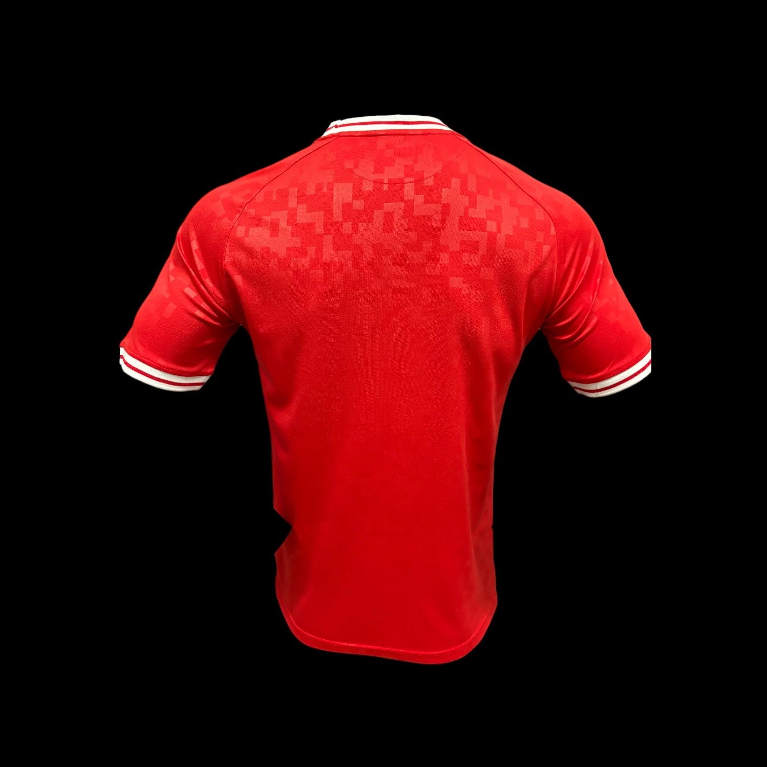 Denmark 2024 Home Jersey (Player Version) — Photo 2