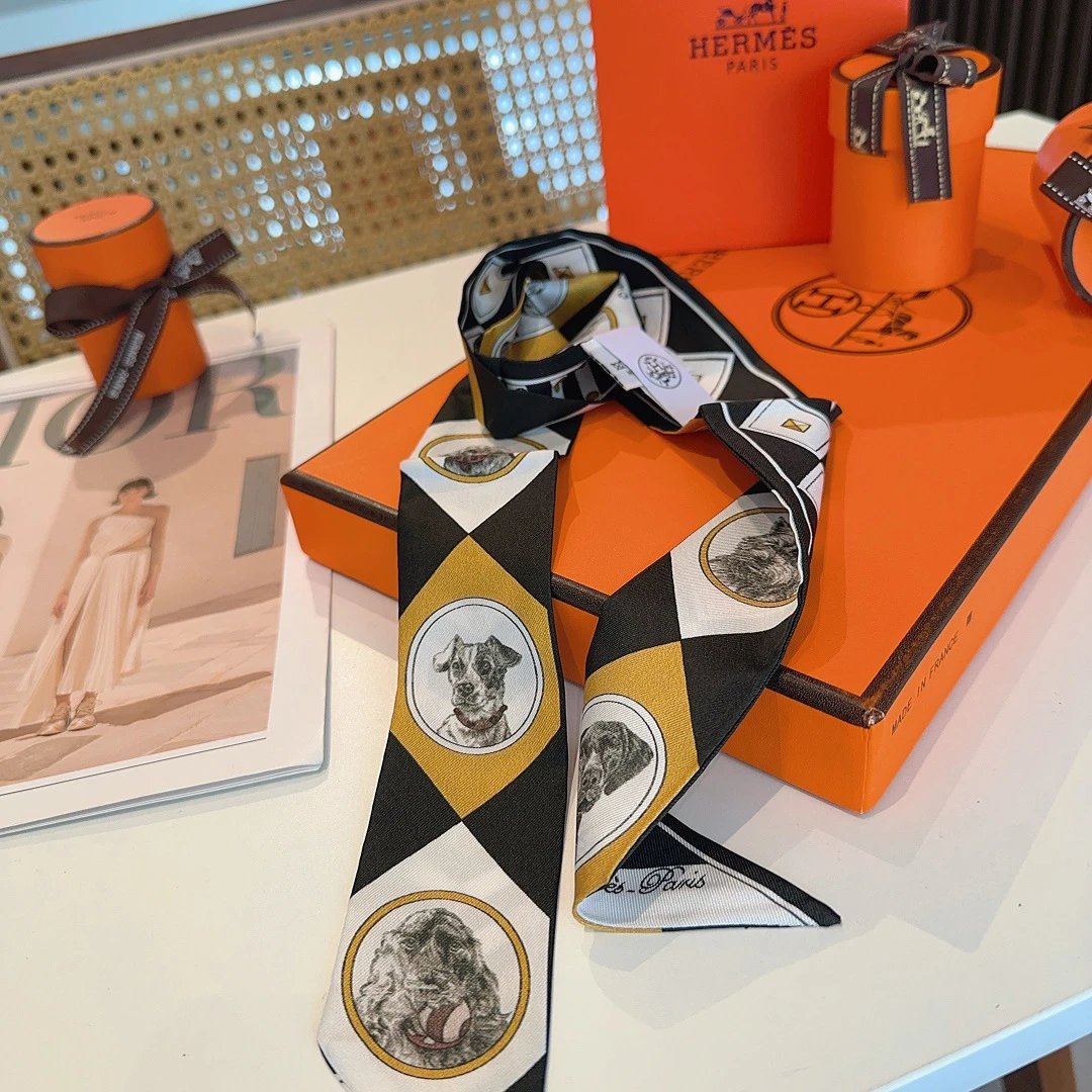 Hermes Silk Hair Ribbon Ver.F — Photo 9