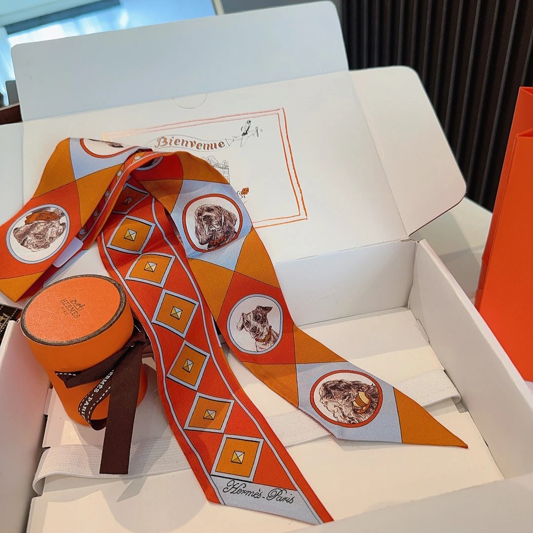 Hermes Silk Hair Ribbon Ver.G — Photo 4