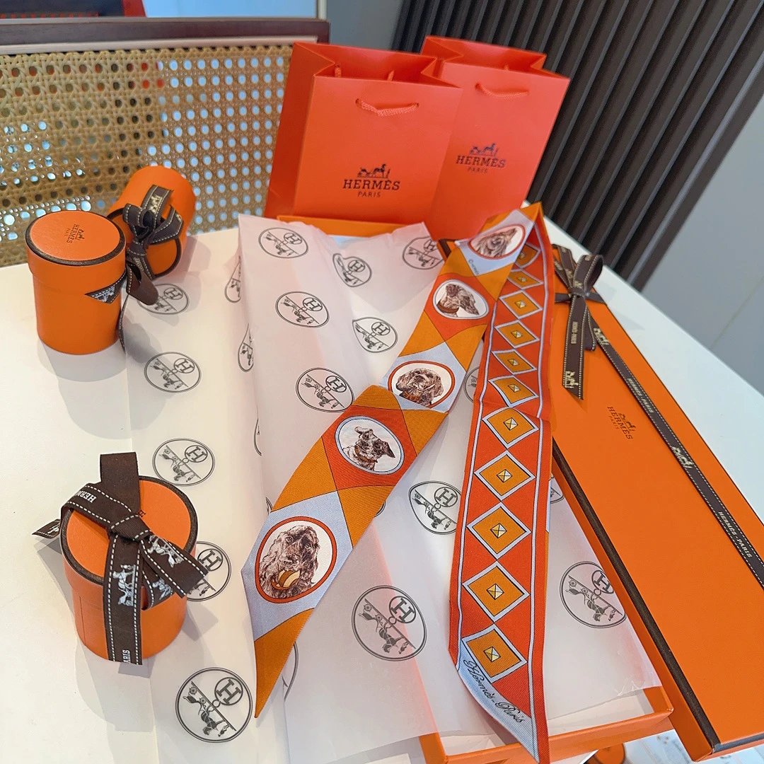 Hermes Silk Hair Ribbon Ver.G — Photo 5