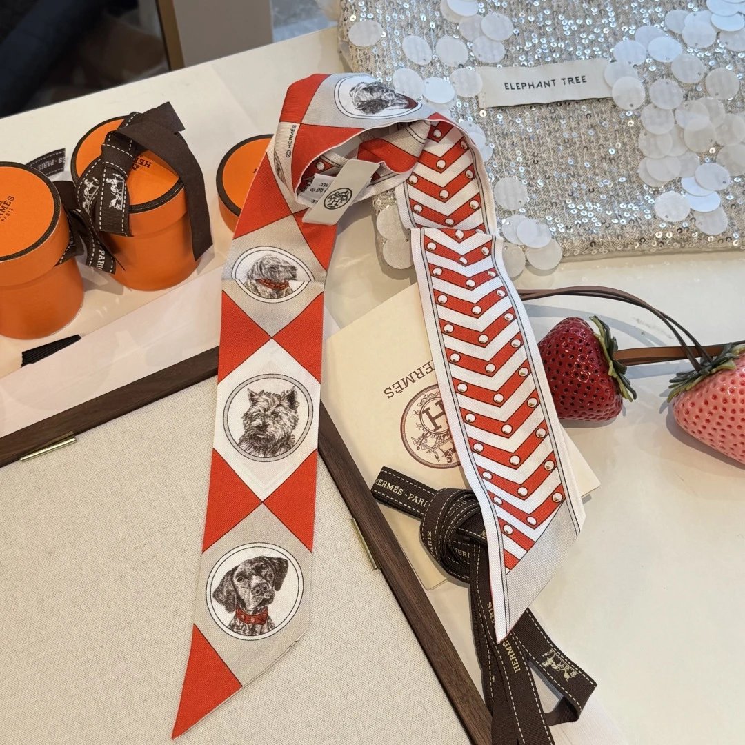 Hermes Silk Hair Ribbon Ver.E — QC