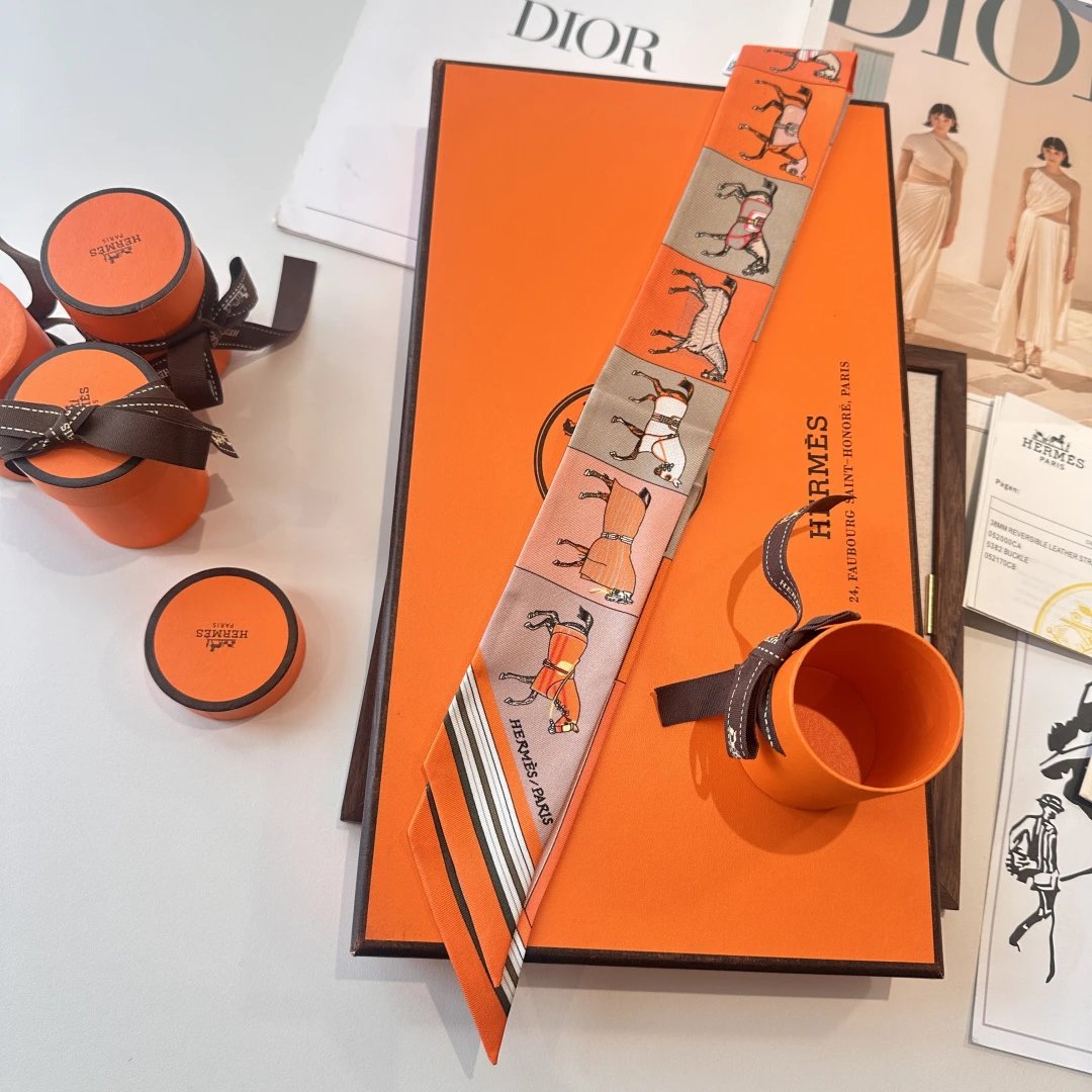 Hermes Silk Ribbon Ver.Q — Photo 7