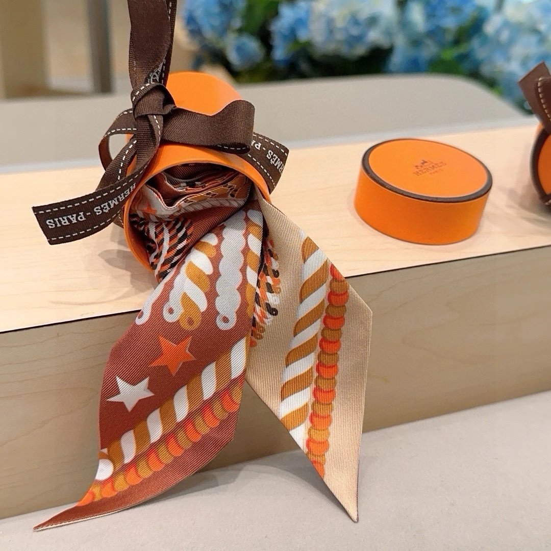 Hermes Silk Hair Ribbon Ver.C — Photo 9