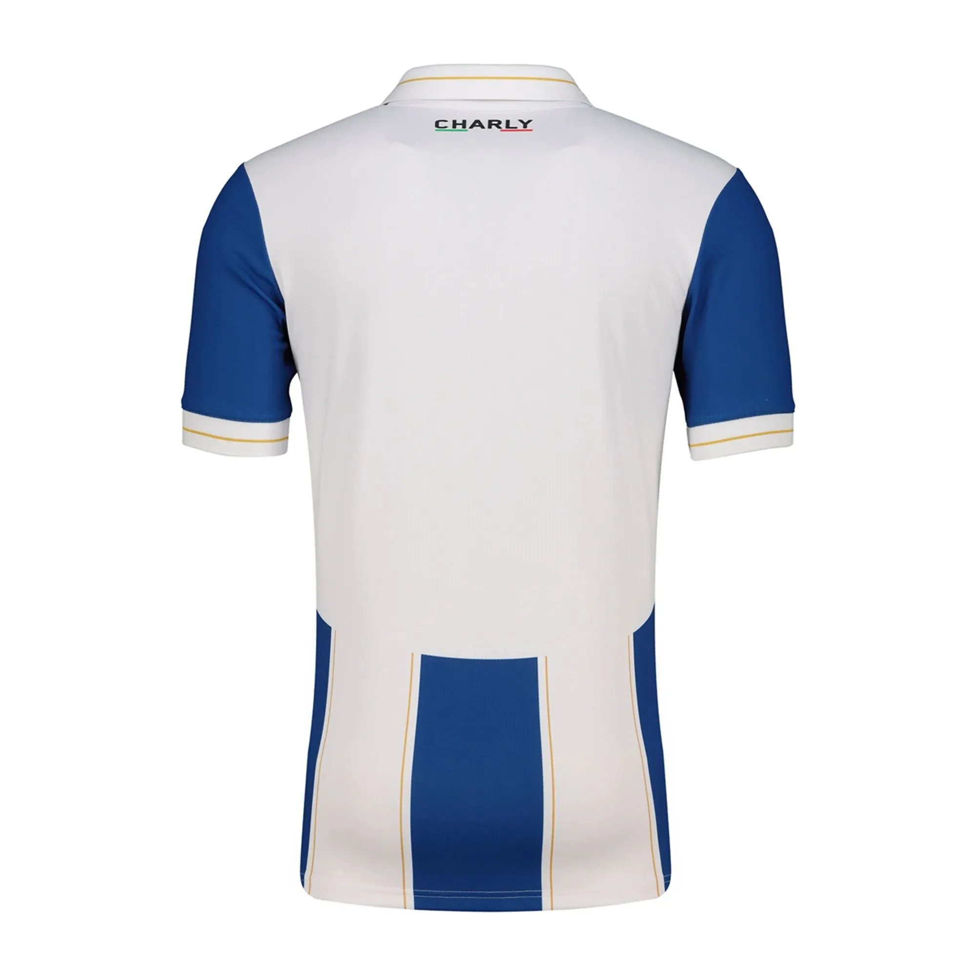 Pachuca 25/26 Home Jersey — Photo 2
