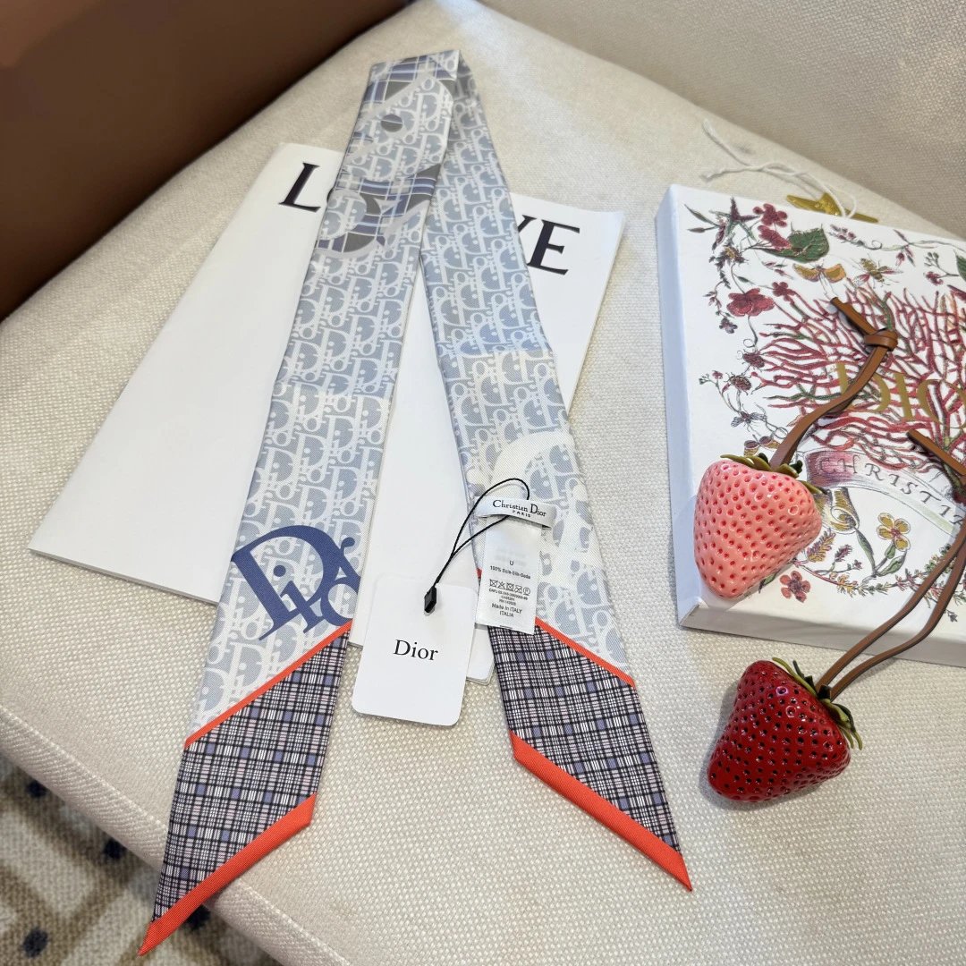 Dior Silk Hair Ribbon Ver.B — QC