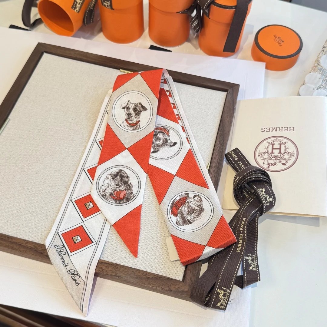 Hermes Silk Hair Ribbon Ver.E — QC