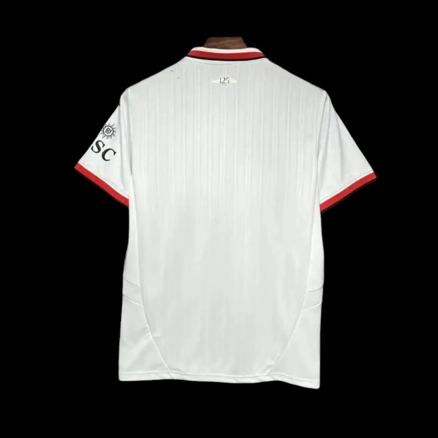 AC Milan 24/25 Away Jersey — QC