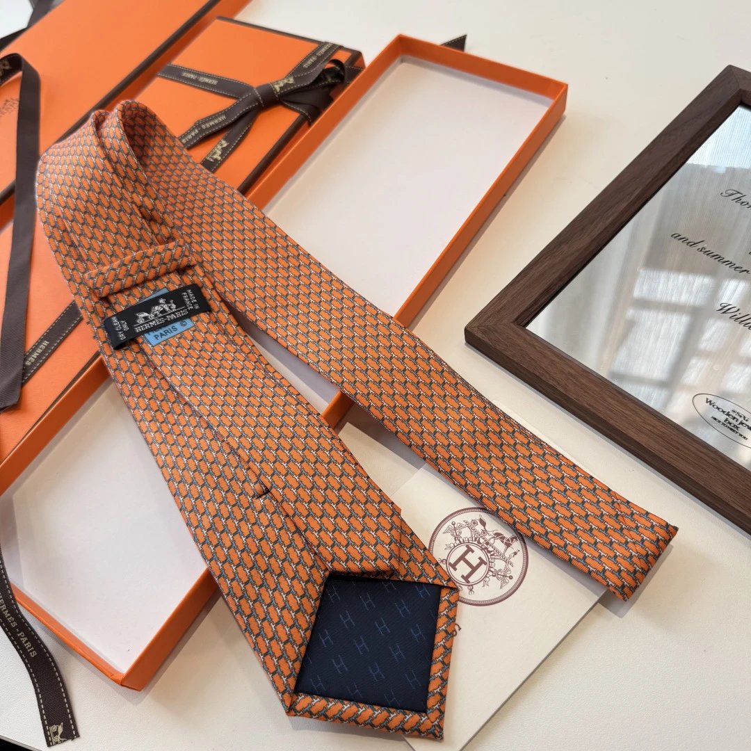 Hermes Silk Tie Ver.Q — Photo 4