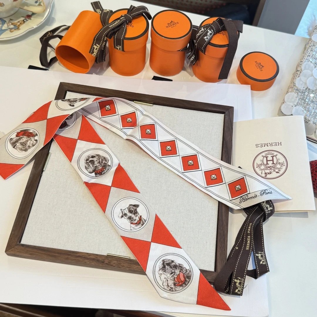 Hermes Silk Hair Ribbon Ver.E — Photo 9