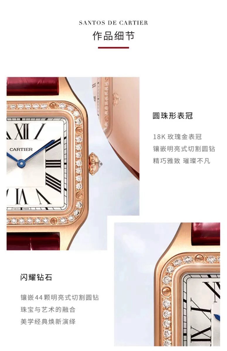 Cartier Santos Quartz Couple Watch 43mm — photo 5