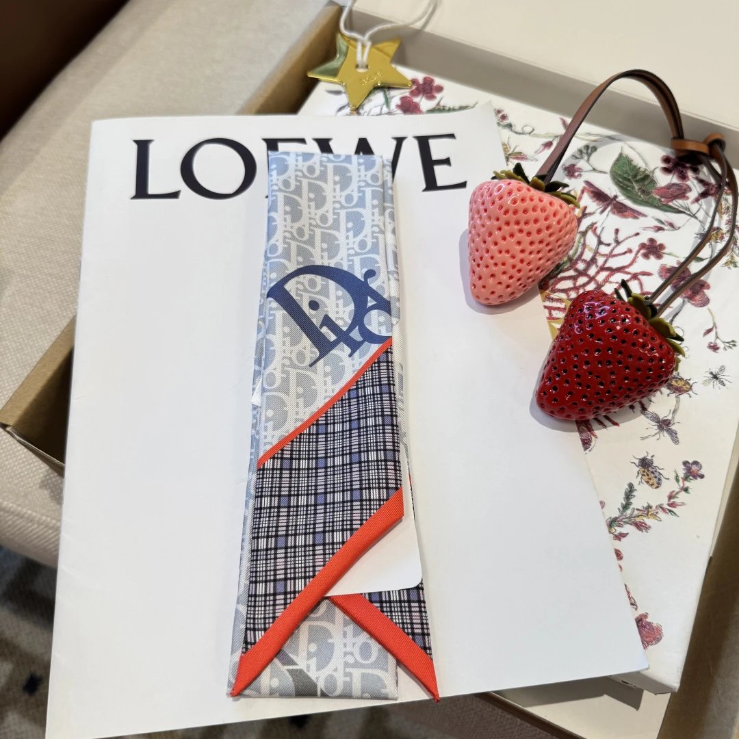 Dior Silk Hair Ribbon Ver.B — QC