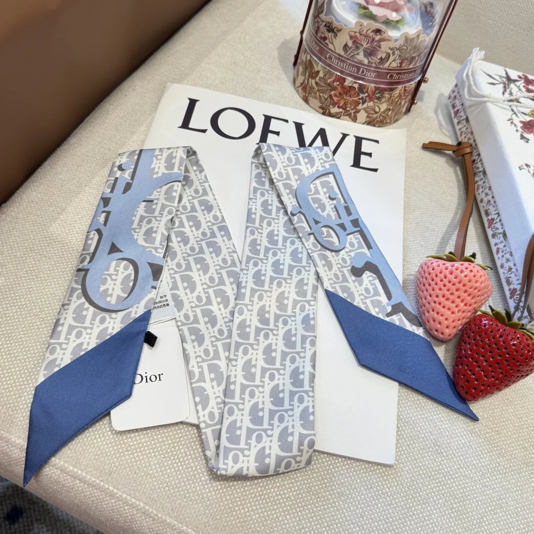 Dior Silk Hair Ribbon Ver.C — QC