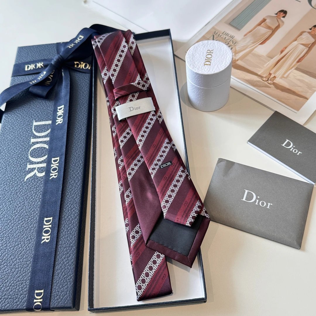Dior Silk Tie Ver.F — QC
