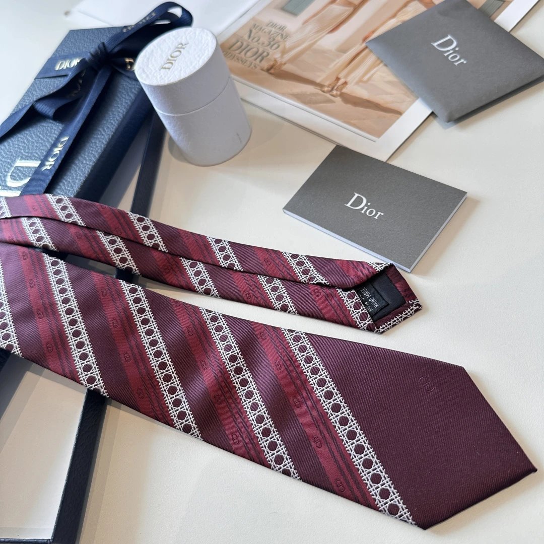 Dior Silk Tie Ver.F — QC