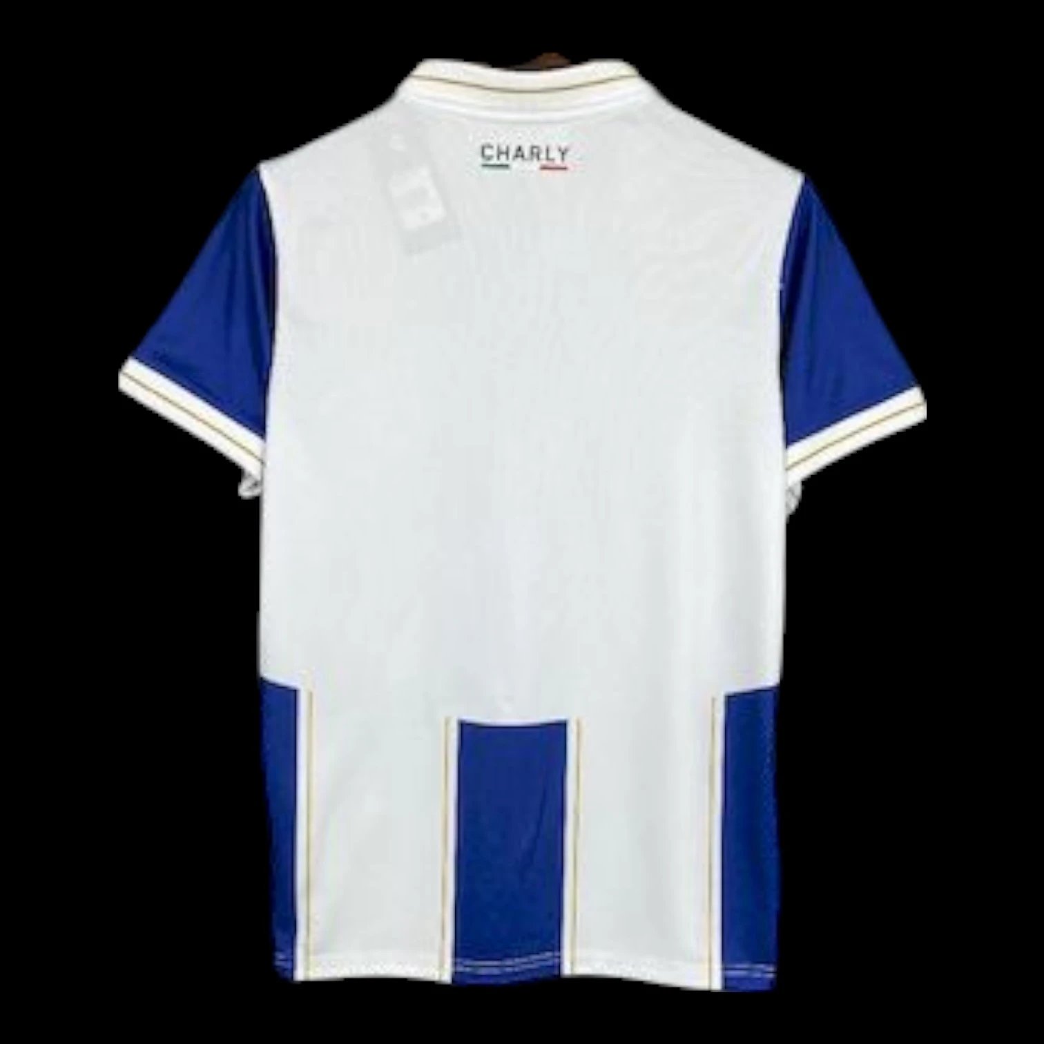 Pachuca 25/26 Home Jersey — QC