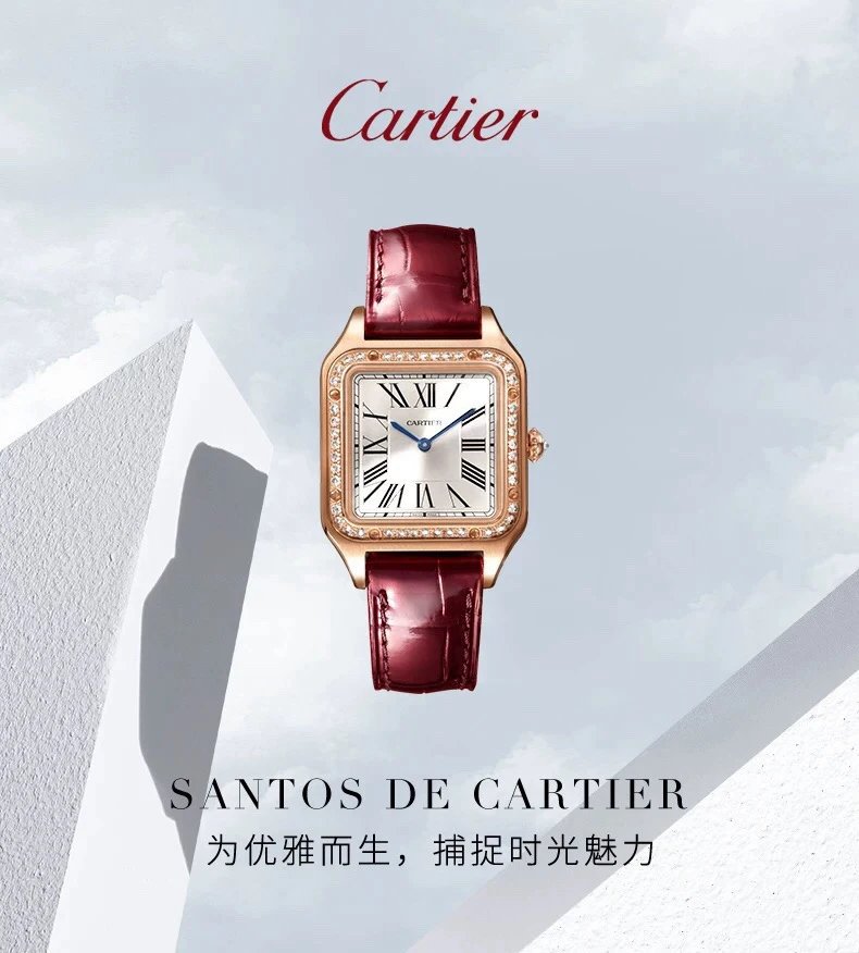 Cartier Santos Quartz Couple Watch 43mm — photo 2