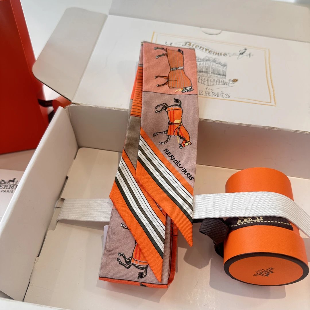Hermes Silk Ribbon Ver.Q — Photo 2