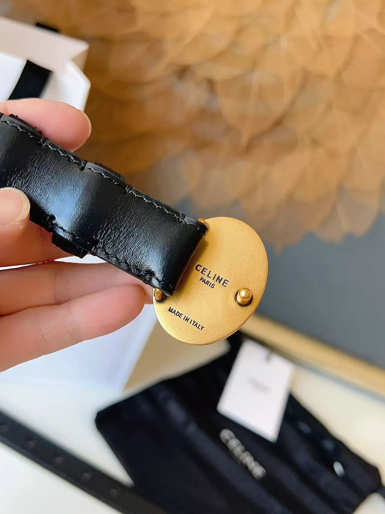 Celine Belt Ver.B — Photo 9