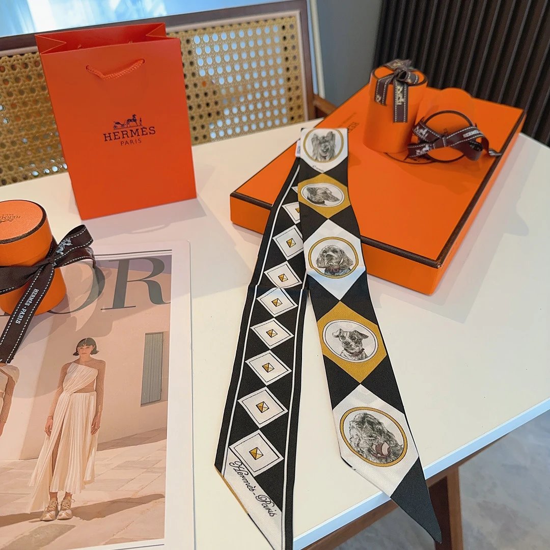 Hermes Silk Hair Ribbon Ver.F — Photo 5