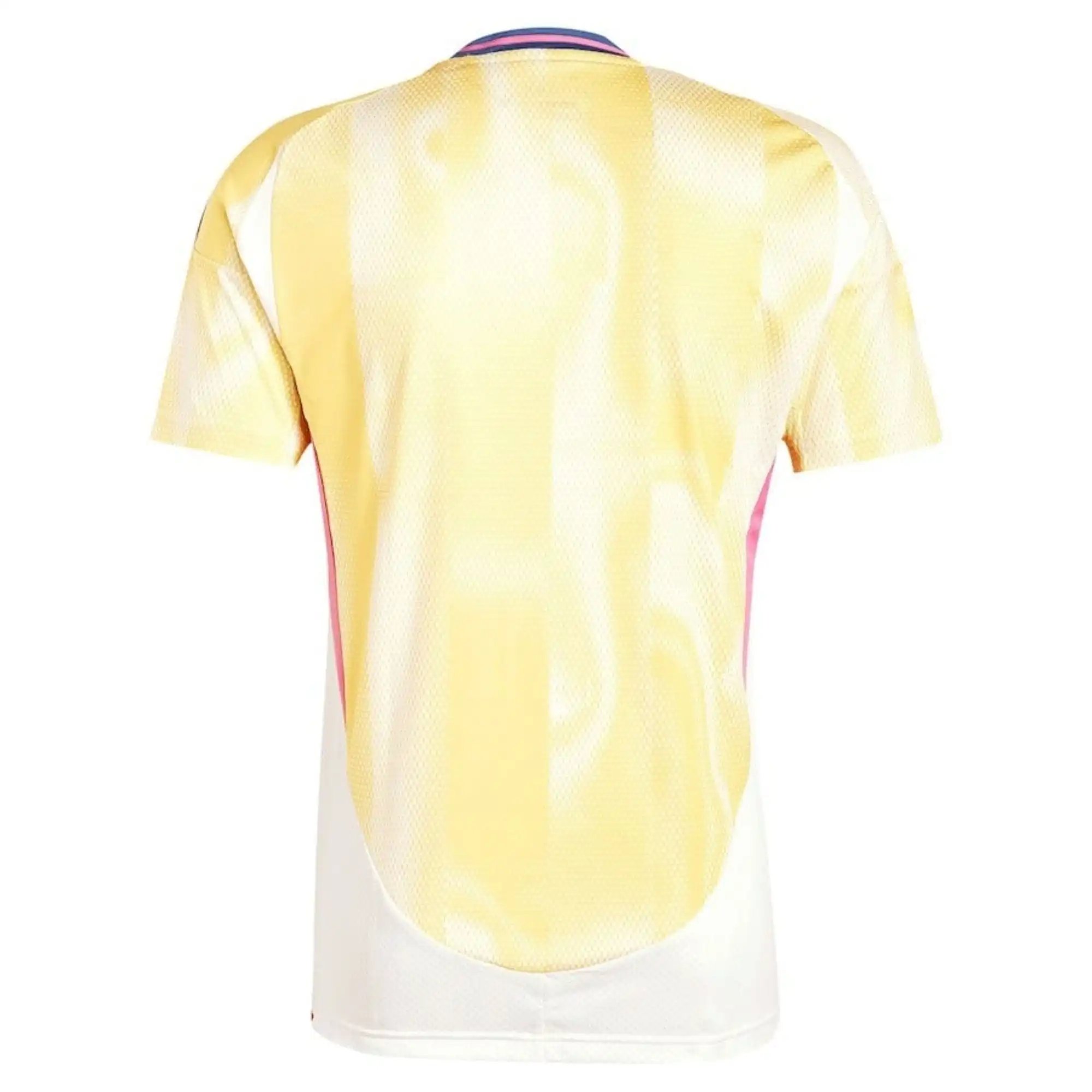 Juventus 24/25 Away Jersey — QC