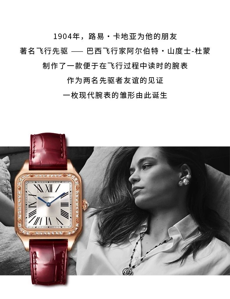 Cartier Santos Quartz Couple Watch 43mm — photo 3