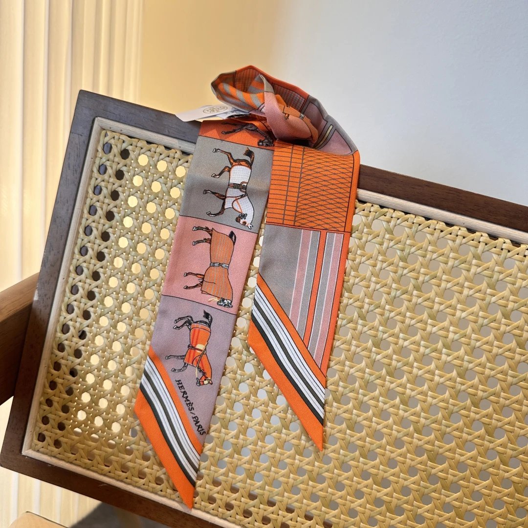 Hermes Silk Ribbon Ver.Q — Photo 4