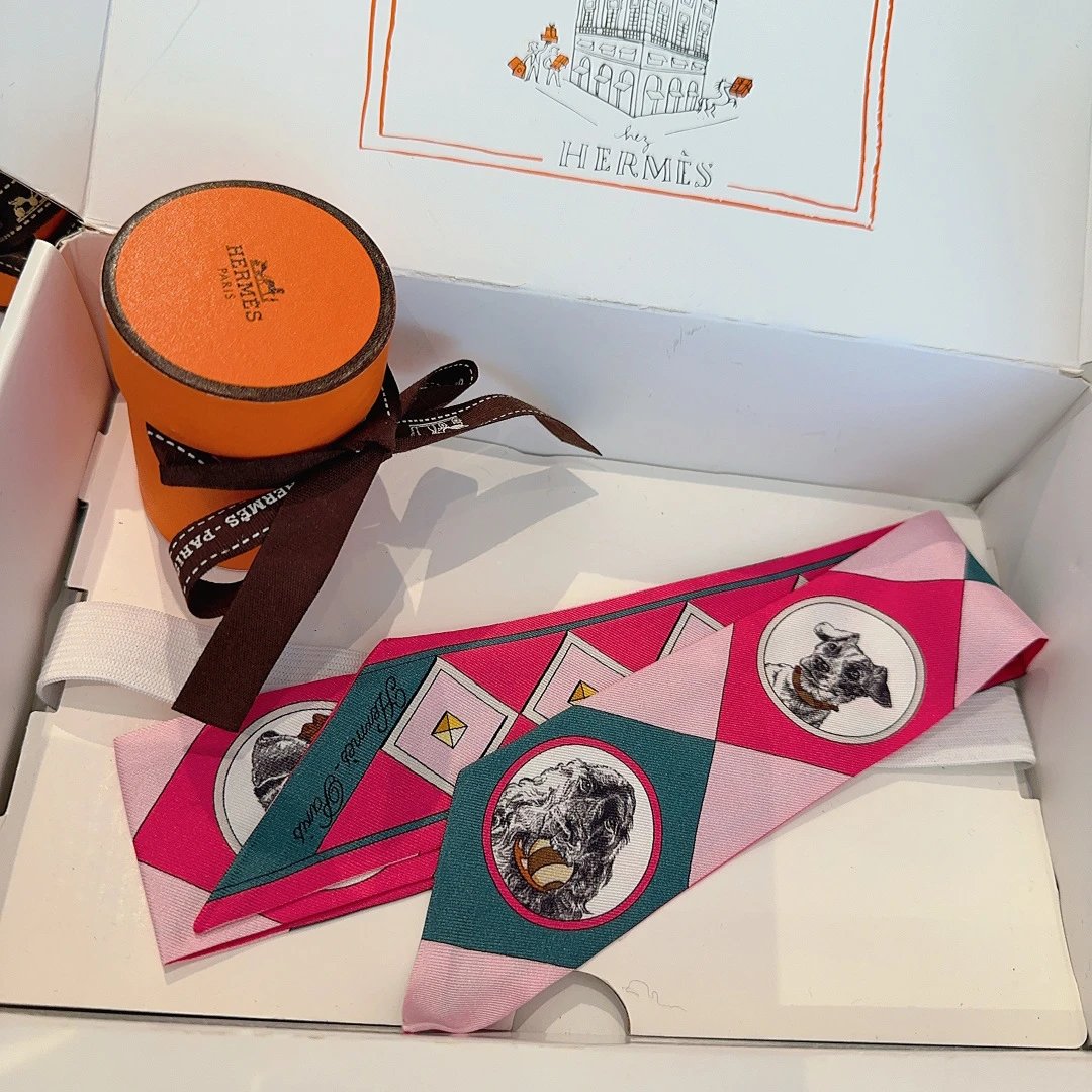 Hermes Silk Hair Ribbon Ver.D — Photo 3