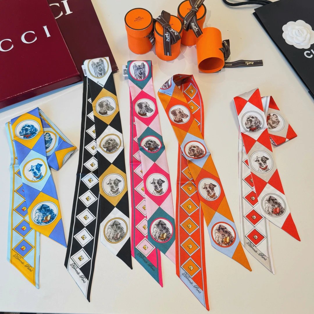 Hermes Silk Hair Ribbon Ver.F — Photo 2
