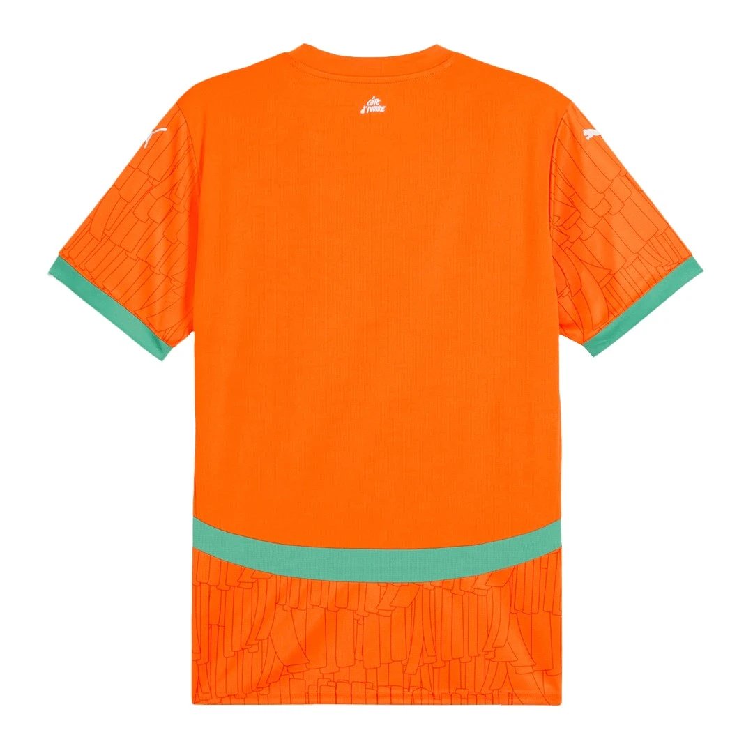 C Te D Ivoire 24/25 Home Jersey — photo 2