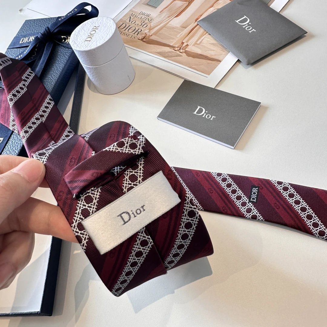 Dior Silk Tie Ver.F — QC