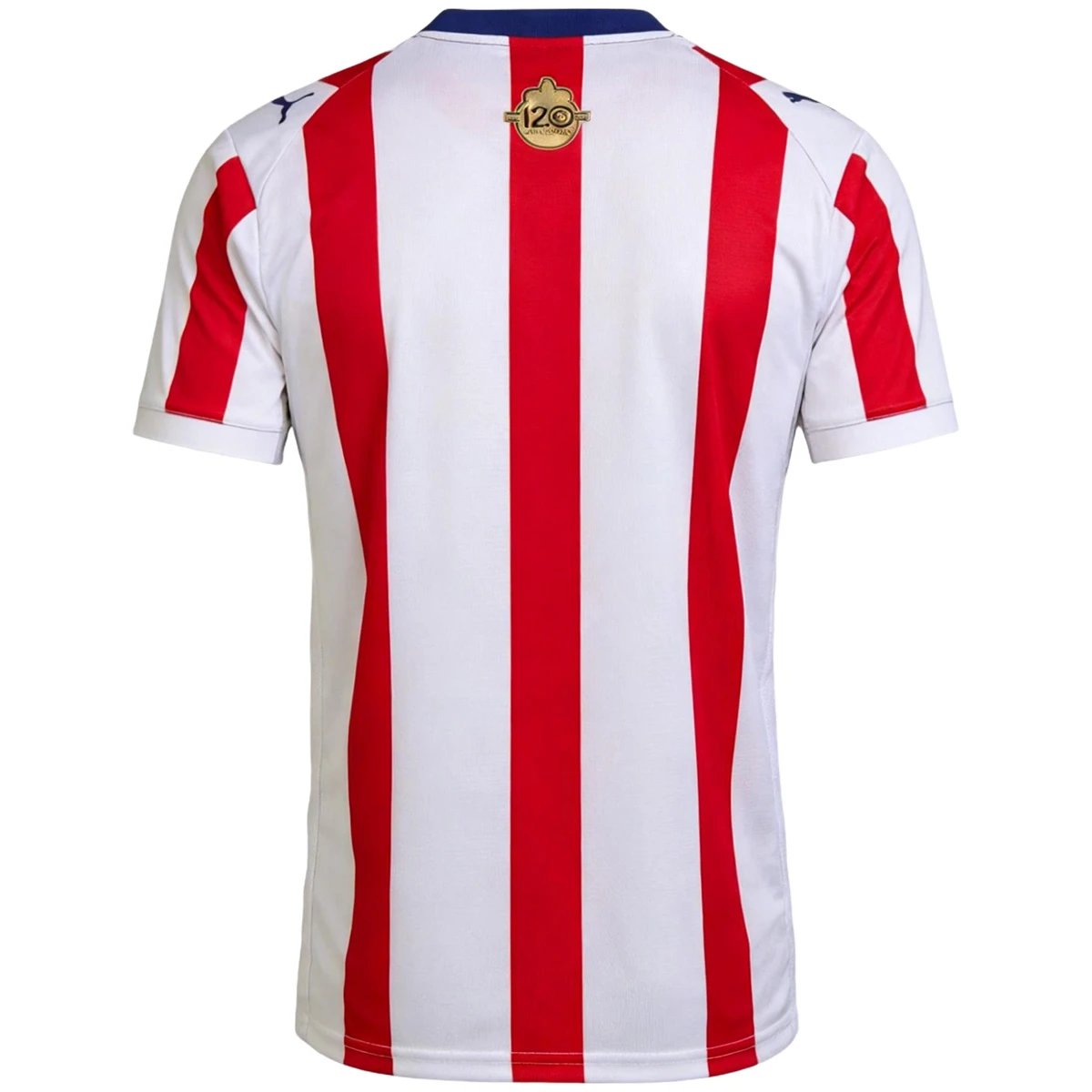 Chivas Guadalajara 2026 Special Edition Jersey — photo 2