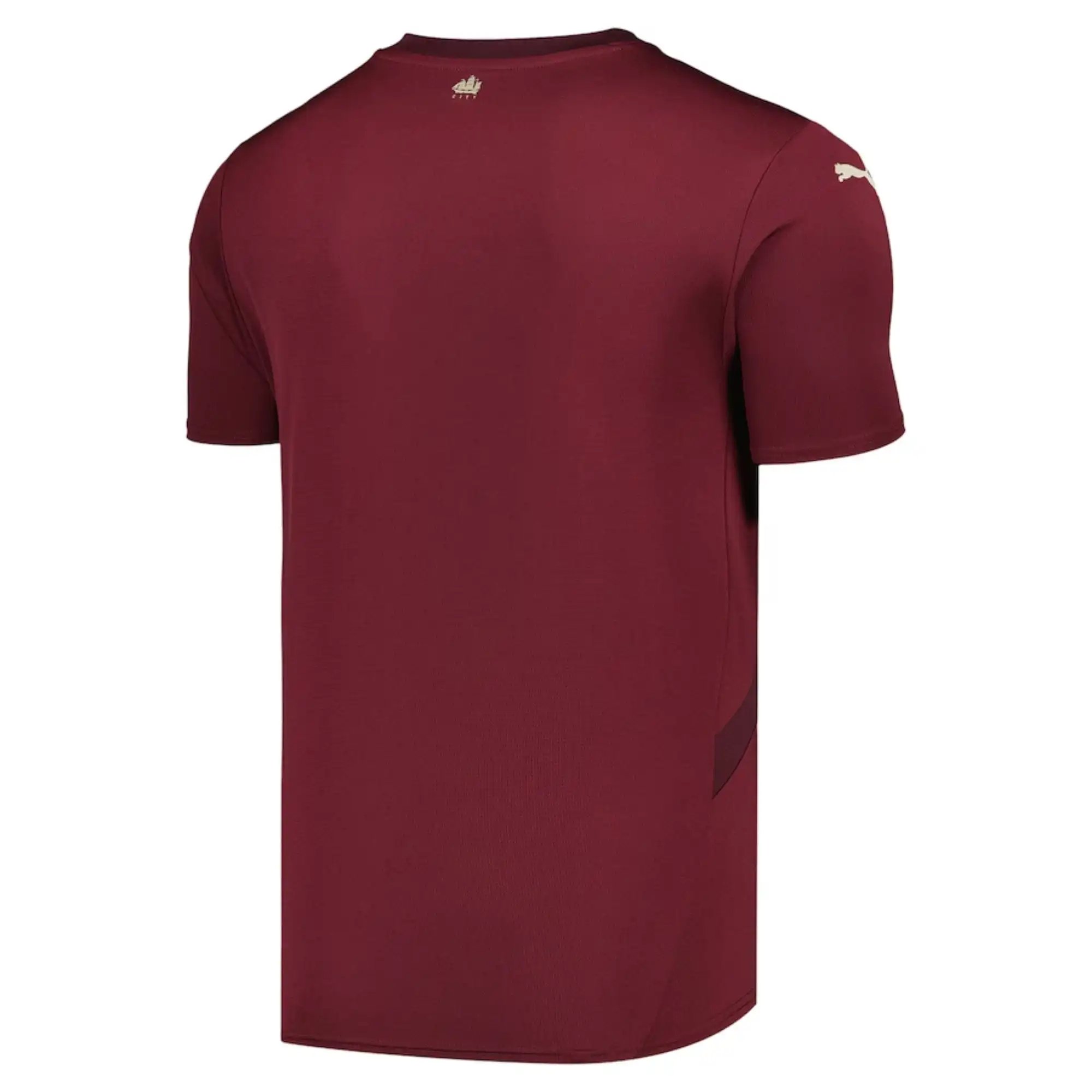 Manchester City 24/25 Third Jersey — QC
